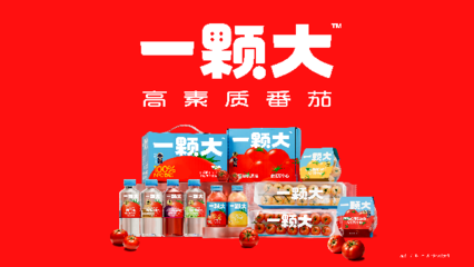 一顆大櫻桃番茄的東南亞之旅 中國蔬菜“出?！卑鎴D再拓展